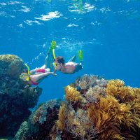Great Barrier Reef